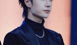 肖战王一博最新八个爆料,揭秘最新八个爆料，精彩瞬间尽收眼底